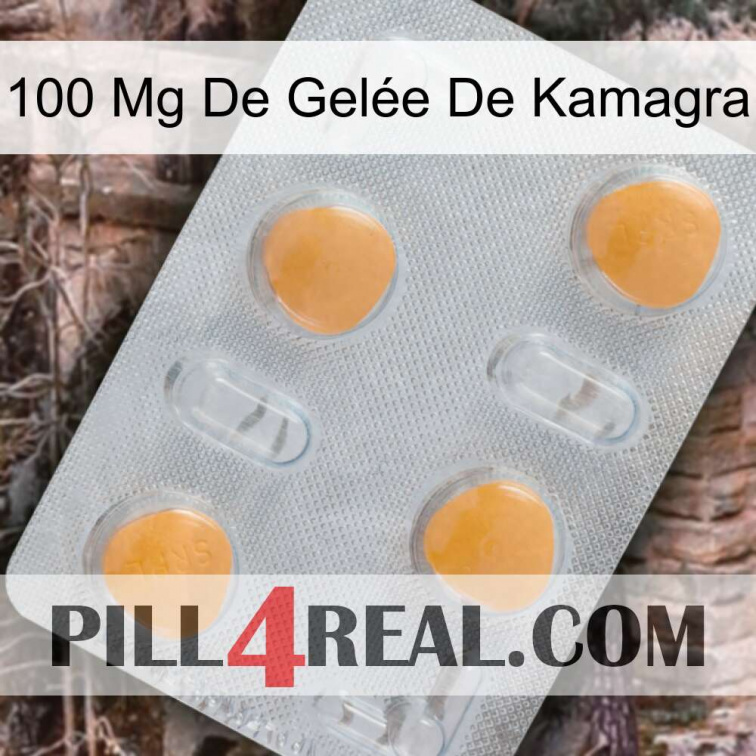 100 Mg De Gelée De Kamagra 24
